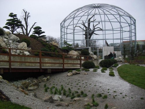 Realizace v areálu zoo - čerstvě založená japonská zahrada