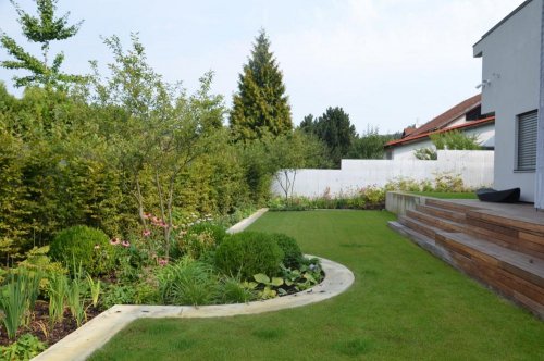 Realizace soukromé zahrady - výsadby jsou výrazně odděleny od plochy trávníku, pozadí je tvořeno habrovou stěnou 
