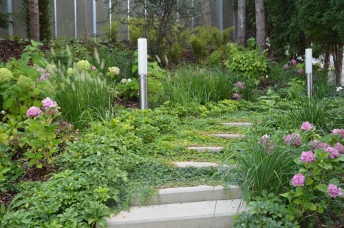 Realizace soukromé zahrady - schody zapojené v zeleni