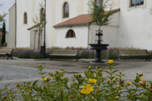 Realizace veřejné zeleně - plocha u kostela s vodním prvkem, lavičkami a kvetoucí třezalkou v popředí 
