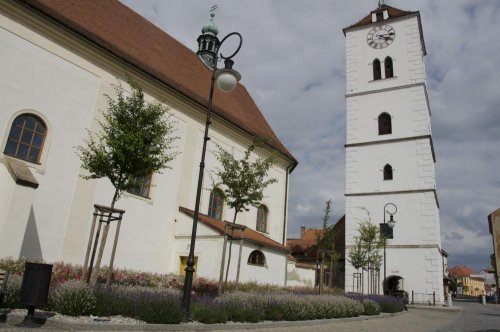 Realizace veřejné zeleně - Plocha u kostela s nově vysázenými stromy a výrazně kvetoucí podsadbou