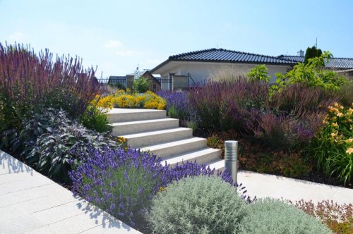 Realizace soukromé zahrady - výrazné barvy trvalkových záhonů kontrastují se světlou dlažbou