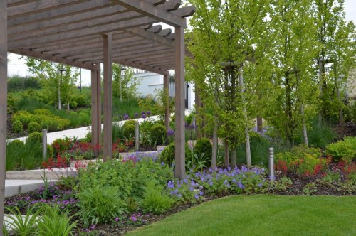 Realizace soukromé zahrady - pozdně jarní efekt kvetoucích česneků a trvalek 