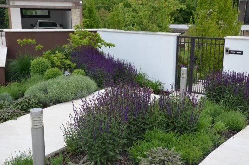 Realizace soukromé zahrady - jarní kombinace svěží zelené a fialové 