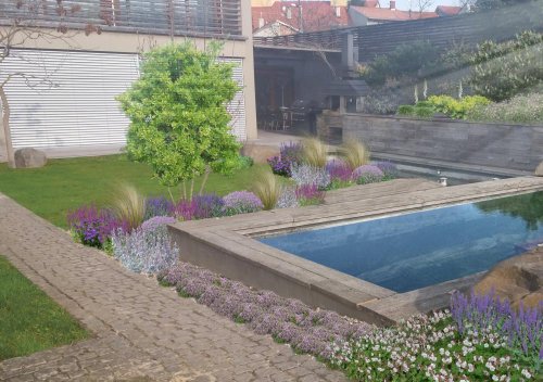 Projekt soukromé zahrady - vizualizace trvalek kolem bazénu