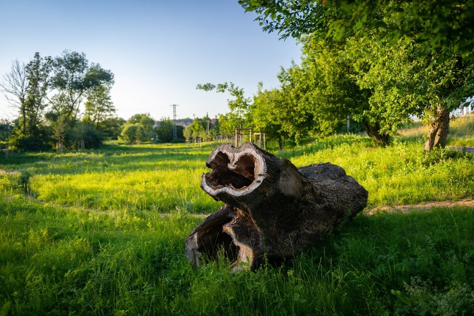 Environmentální park Škrlovec